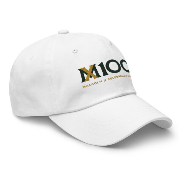 MX100 Dad Hat - Image 13