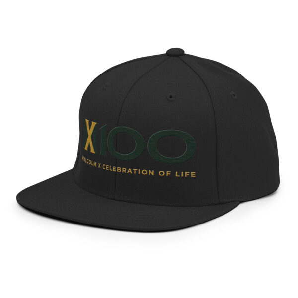 MX100 Snapback - Image 8