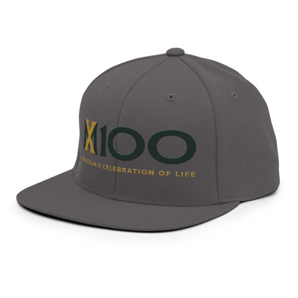 MX100 Snapback - Image 16