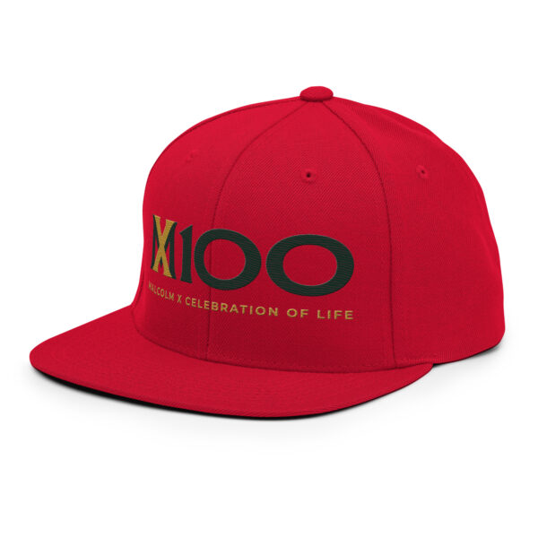 MX100 Snapback - Image 12