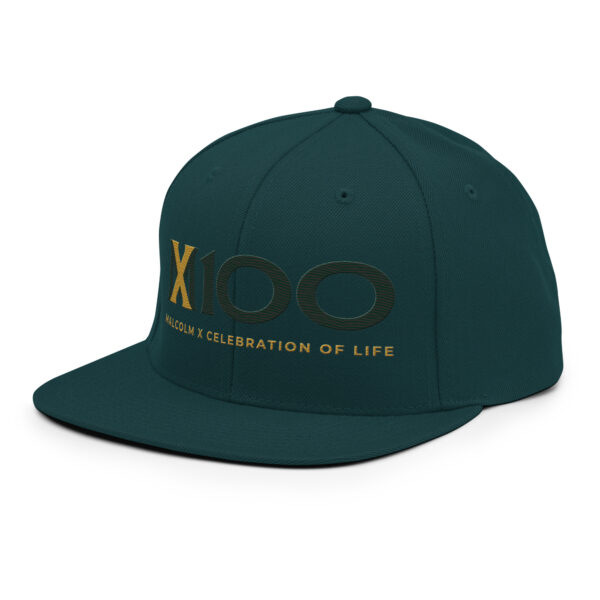 MX100 Snapback - Image 10